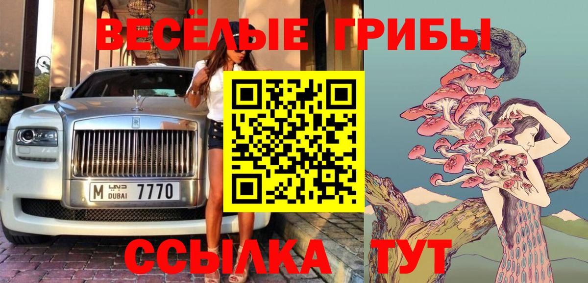 Псилоцибиновые грибы Psilocybine cubensis Аша