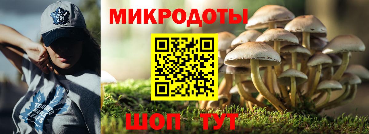 Псилоцибиновые грибы Magic Shrooms  Псилоцибиновые грибы мицелий  Аша  Вход с VPN 